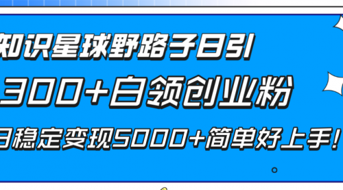 【副业项目8492期】知识星球野路子日引300+白领创业粉-天下副业