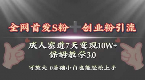 【副业项目8506期】成人用品赛道7天变现10w+保姆教学3.0-天下副业