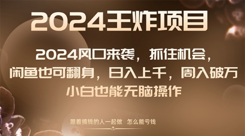 【副业项目8548期】2024闲鱼翻身项目，小白也可做-天下副业