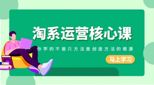 【副业项目8556期】淘系-运营核心课，你学的不是只方法是创造方法的根源-天下副业