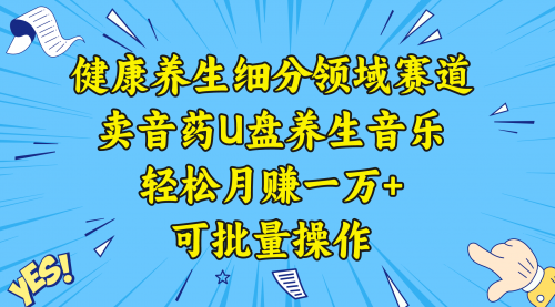 【副业项目8638期】健康养生细分领域赛道，卖音药U盘养生音乐，轻松月赚一万+，可批量操作-天下副业