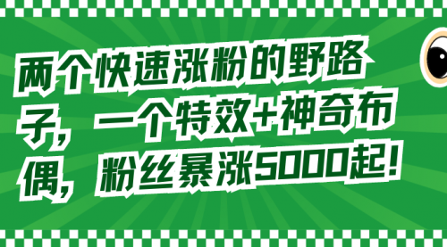 【副业8723期】两个快速涨粉的野路子，一个特效+神奇布偶，粉丝暴涨5000起！-天下副业