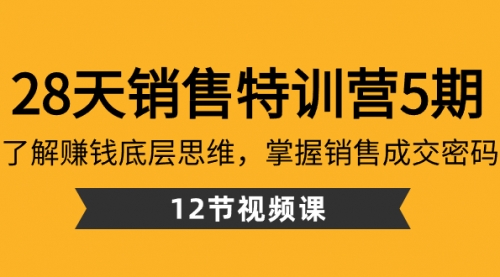 【副业8768期】28天·销售特训营5期：了解赚钱底层思维，掌握销售成交密码（12节课）-天下副业