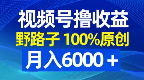 【副业8771期】视频号野路子撸收益，100%原创，条条爆款，月入6000＋-天下副业