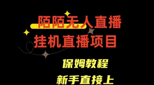 【副业8781期】陌陌无人直播，通道人数少，新手容易上手-天下副业