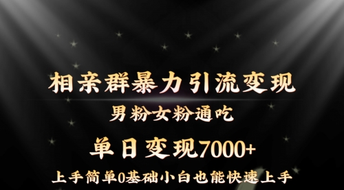【副业8845期】相亲群暴力引流男粉女粉通吃变现玩法，单日变现7000+保姆教学1.0-天下副业
