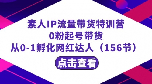 【副业8847期】繁星·计划素人IP流量带货特训营：0粉起号带货 从0-1孵化网红达人（156节）-天下副业