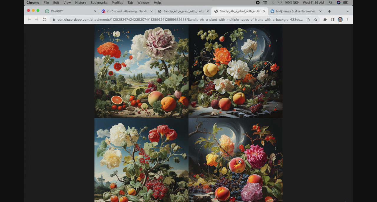 【副业8871期】ChatGPT4 和 MidJourney AI 绘画聊天革命性指南教程-33节视频课-中英字幕-天下副业