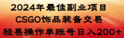 【副业8982期】2024年最佳副业项目 CSGO饰品装备交易 轻易操作单账号日入200+-天下副业