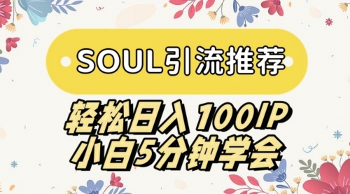【副业9006期】SOUL引流推荐 轻松日入100IP 小白5分钟学会-天下副业
