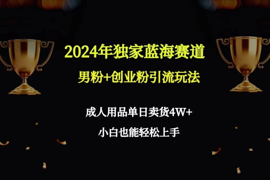 2024年独家蓝海赛道男粉+创业粉引流玩法，成人用品单日卖货4W+保姆教程-天下副业