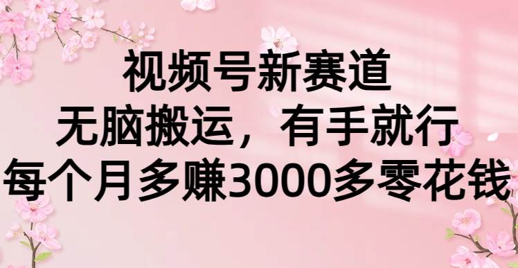 视频号新赛道，无脑搬运，有手就行，每个月多赚3000多零花钱-天下副业