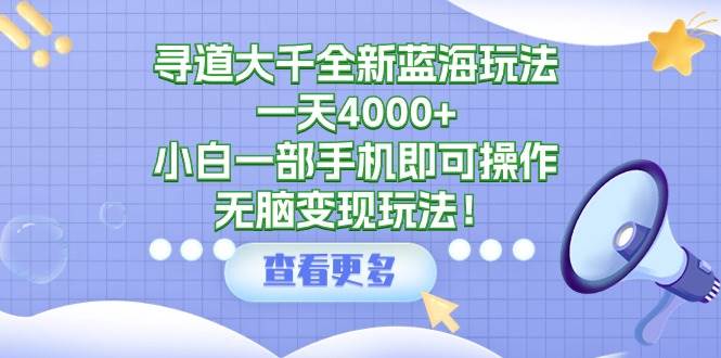 寻道大千全新蓝海玩法，一天4000+，小白一部手机即可操作，无脑变现玩法！-天下副业