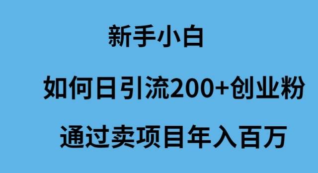 新手小白如何日引流200+创业粉通过卖项目年入百万-天下副业