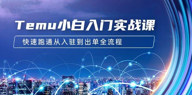 Temu小白入门实战课：跨境拼多多电商培训 快速跑通从入驻到出单全流程-12节-天下副业