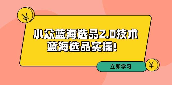 拼多多培训第33期：小众蓝海选品2.0技术-蓝海选品实操！-天下副业
