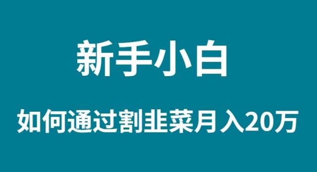 新手小白如何通过割韭菜月入 20W-天下副业