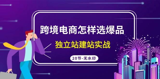 跨境电商怎样选爆品，独立站建站实战（20节高清无水印课）-天下副业