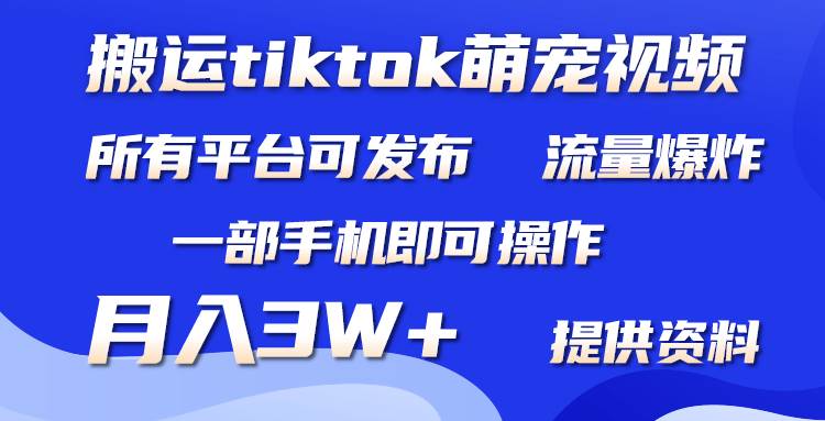 搬运Tiktok萌宠类视频，一部手机即可。所有短视频平台均可操作，月入3W+-天下副业