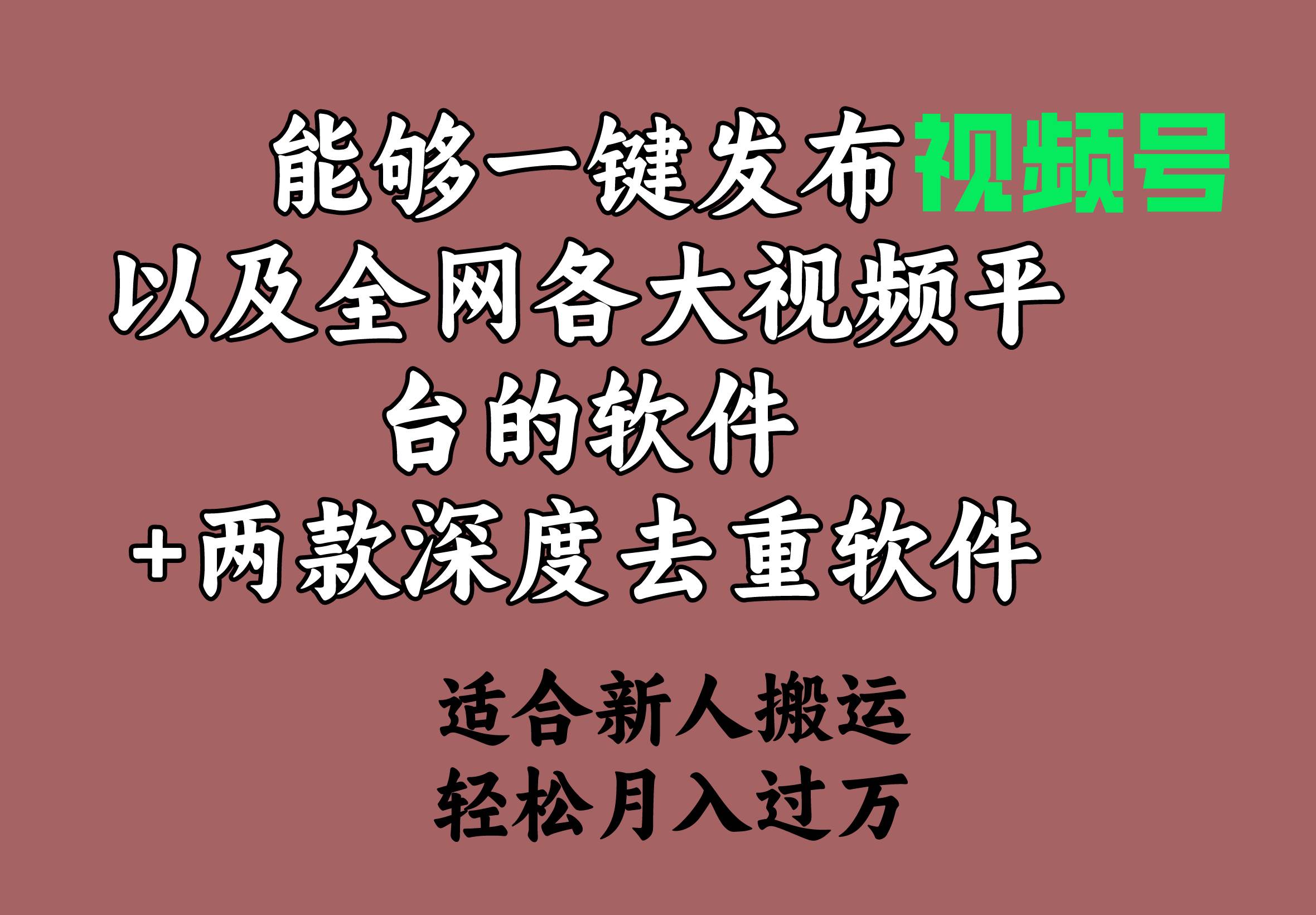 能够一键发布视频号以及全网各大视频平台的软件+两款深度去重软件 适合…-天下副业