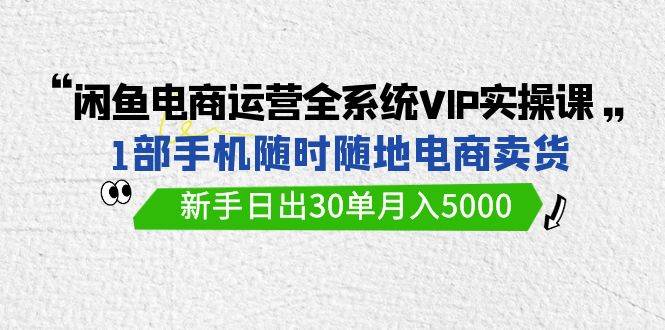 闲鱼电商运营全系统VIP实战课，1部手机随时随地卖货，新手日出30单月入5000-天下副业