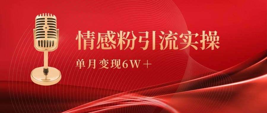 单月变现6w+，情感粉引流变现实操课-天下副业