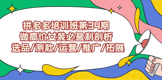 拼多多培训班第34期：做高价女装必盈利剖析  选品/测款/运营/推广/拓展-天下副业