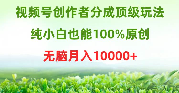 视频号创作者分成顶级玩法，纯小白也能100%原创，无脑月入10000+-天下副业