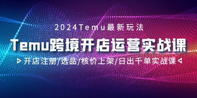 2024Temu跨境开店运营实战课，开店注册/选品/核价上架/日出千单实战课-天下副业