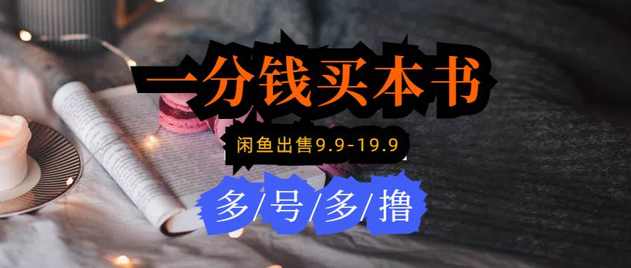每天花1分钱买一本书，闲鱼出售9.9-19.9不等，多账号多撸 新手小白均可操作-天下副业