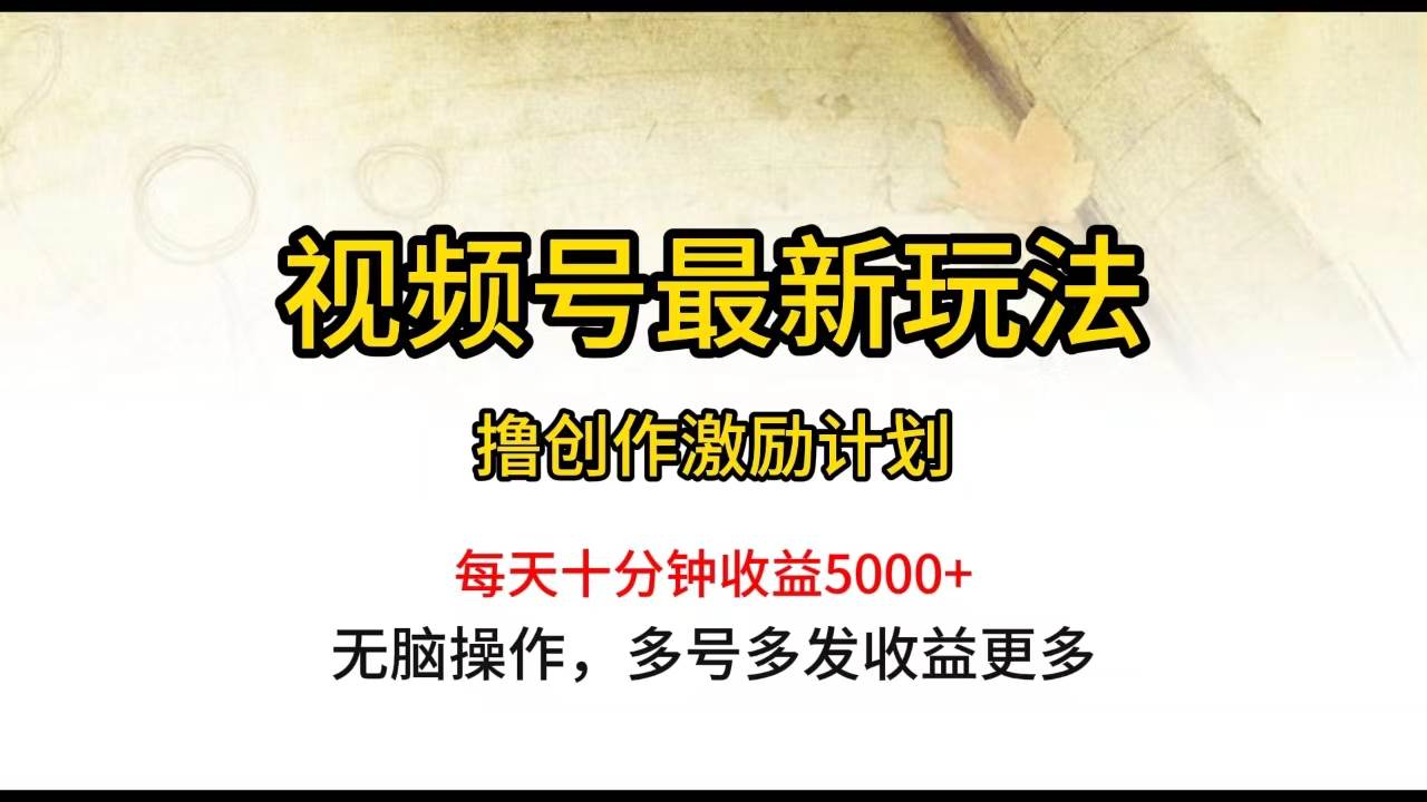 视频号最新玩法，每日一小时月入5000+-天下副业