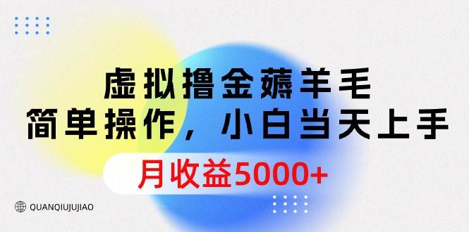虚拟撸金薅羊毛，简单操作，小白当天上手，月收益5000+-天下副业