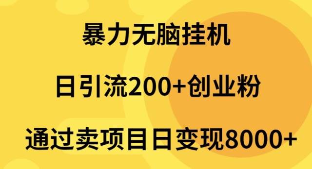 暴力无脑挂机日引流200+创业粉通过卖项目日变现2000+-天下副业