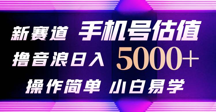 抖音不出境直播【手机号估值】最新撸音浪，日入5000+，简单易学，适合…-天下副业