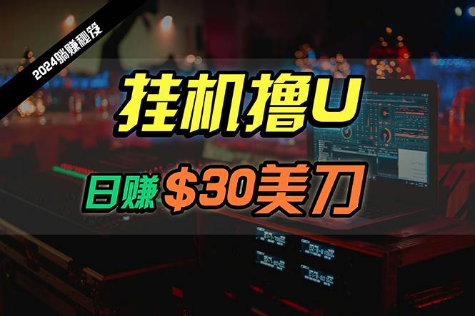 日赚30美刀，2024最新海外挂机撸U内部项目，全程无人值守，可批量放大-天下副业