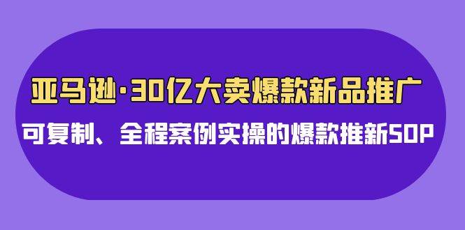 亚马逊30亿·大卖爆款新品推广，可复制、全程案例实操的爆款推新SOP-天下副业