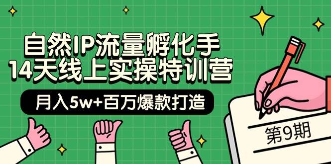 自然IP流量孵化手 14天线上实操特训营【第9期】月入5w+百万爆款打造 (74节)-天下副业