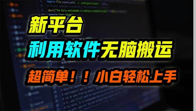 新平台用软件无脑搬运，月赚10000+，小白也能轻松上手-天下副业