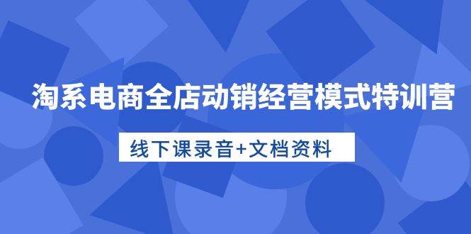 淘系电商全店动销经营模式特训营，线下课录音+文档资料-天下副业