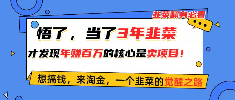 悟了，当了3年韭菜，才发现网赚圈年赚100万的核心是卖项目，含泪分享！-天下副业