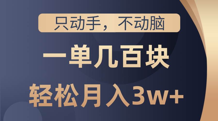 只动手不动脑，一单几百块，轻松月入3w+，看完就能直接操作，详细教程-天下副业