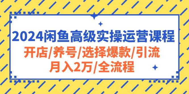 2024闲鱼高级实操运营课程：开店/养号/选择爆款/引流/月入2万/全流程-天下副业