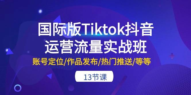 国际版Tiktok抖音运营流量实战班：账号定位/作品发布/热门推送/等等-13节-天下副业