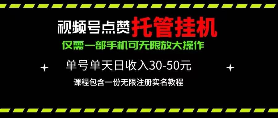 视频号点赞托管挂机，单号单天利润30~50，一部手机无限放大（附带无限…-天下副业