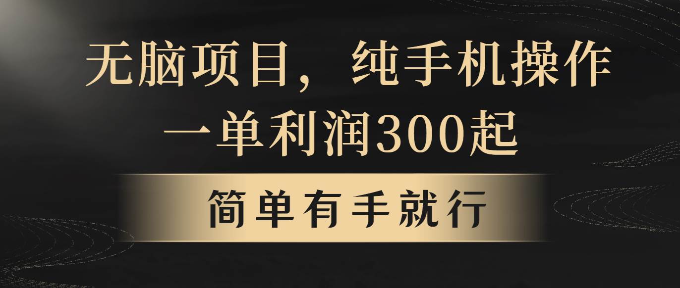无脑项目，一单几百块，轻松月入5w+，看完就能直接操作-天下副业