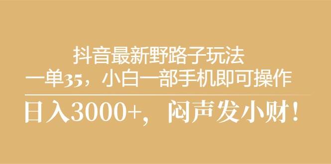 抖音最新野路子玩法，一单35，小白一部手机即可操作，，日入3000+，闷…-天下副业