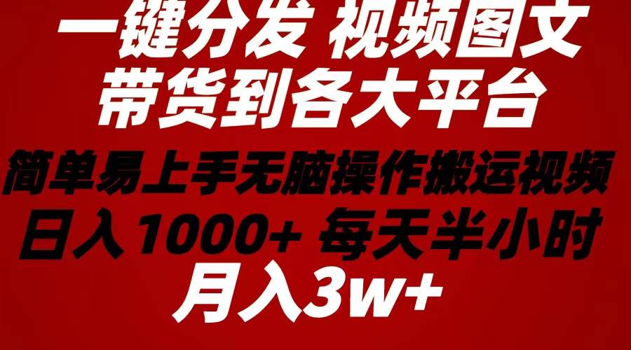 2024年 一键分发带货图文视频  简单易上手 无脑赚收益 每天半小时日入1…-天下副业