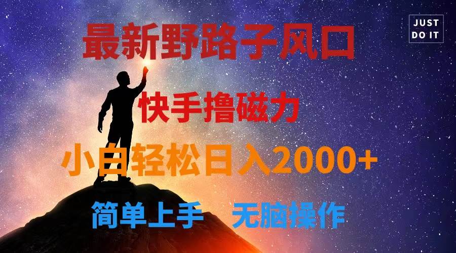 最新风口！快手撸磁力，野路子，小白无脑操作日入2000+-天下副业