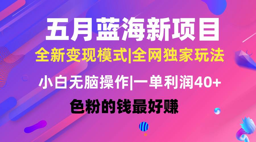 五月蓝海项目全新玩法，小白无脑操作，一天几分钟，矩阵操作，月入4万+-天下副业