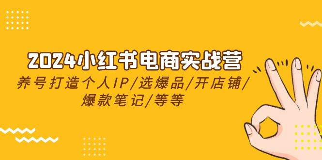2024小红书电商实战营，养号打造IP/选爆品/开店铺/爆款笔记/等等（24节）-天下副业